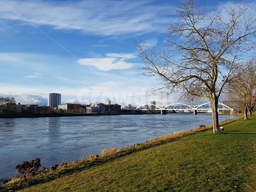 풍경,독일,잔디밭,germany,맑은하늘,강,구름,잔딧밭,다리,멋진풍경,mannhiem,landscape,river,푸른강