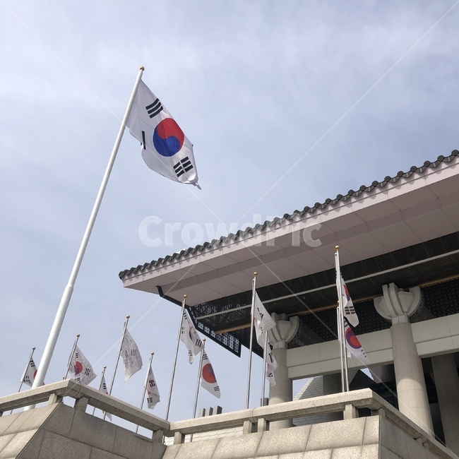 태극,태극기,독립,광복,애국심
