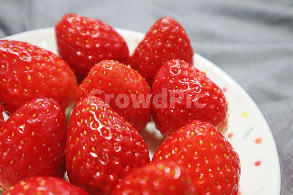 딸기,빨간색,과일,채소,국내과일,음식,식재료,요리,food,cook,meal,dishes,food reserves,과일,열매,fruit