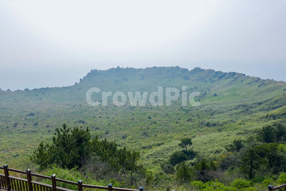 nature,자연,outdoors,옥외,hill,제주도,자연,풍경,nature,landscape,제주도,jeju,jeju island