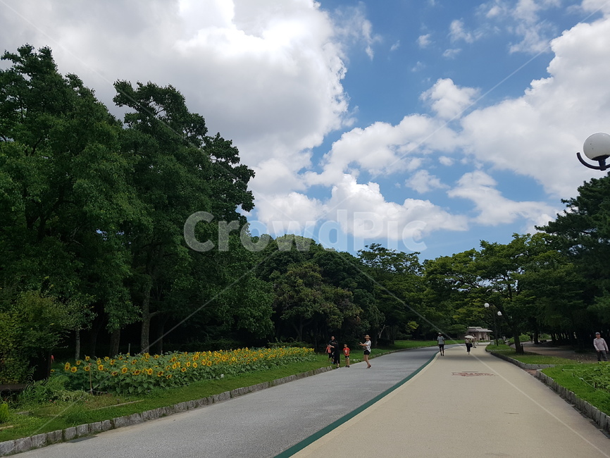하늘,자연,날씨,구름,공원,자연,풍경,nature,landscape,road,도로,asphalt,아스팔트,outdoors,옥외,weather