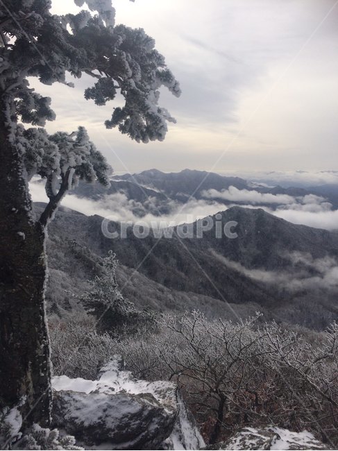 산,겨울산,나무,겨울나무,눈덮인,눈쌓인,등산,설산,겨울,계절,winter,season,자연,풍경,nature,landscape,한국자연풍경,한국자연경관,korea nature landscape,tree,plant,식물,outdoors,옥외