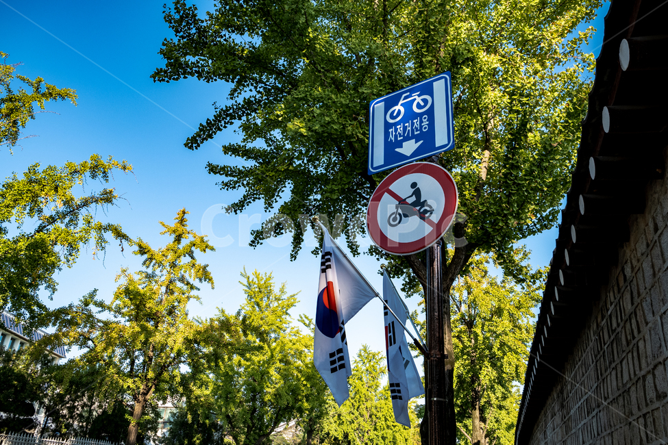symbol,표지판,태극기,자연,풍경,나무,교통,교통수단,traffic,transportation