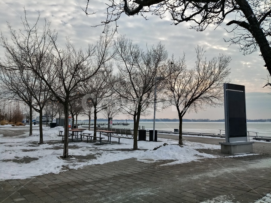 캐나다,겨울,canada,winter,toronto,호수,lake,겨울나무,wintertree