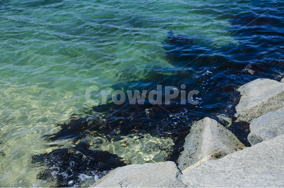 바다,경포대,배경,바다배경,풍경,자연,풍경,nature,landscape,water,물,outdoors,옥외,ocean,대양,sea