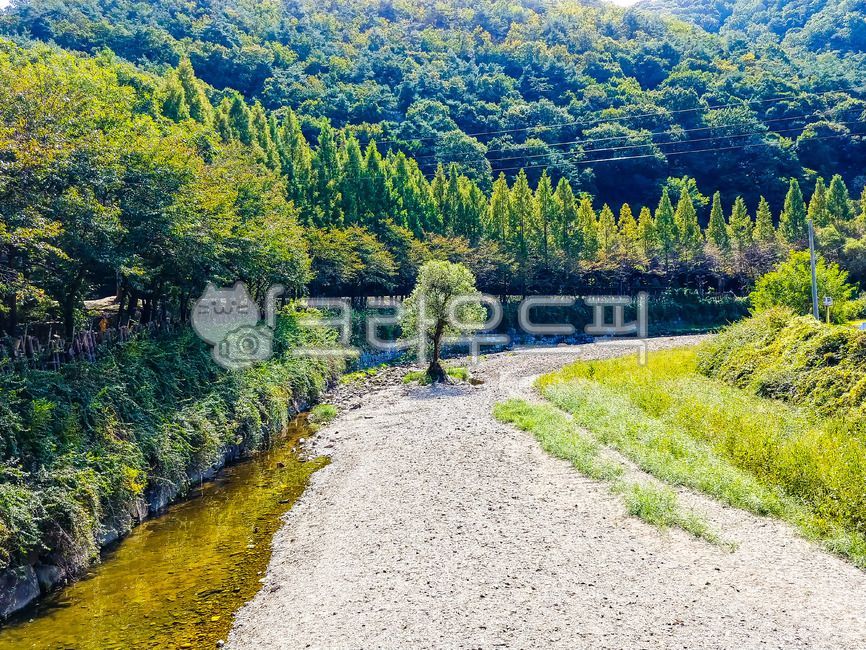 forest,green,nature,tree,scenery,water,summer,Pebble,small river,foot of the mountain,stream,background,record,River,jungle,Emotion,fence