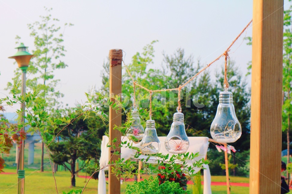 식물,plant,유리볼,테라리움,terrarium,테라리엄,인테리어소품,매달리다,유리,hang,실,glass,화창한,날씨좋음,풀
