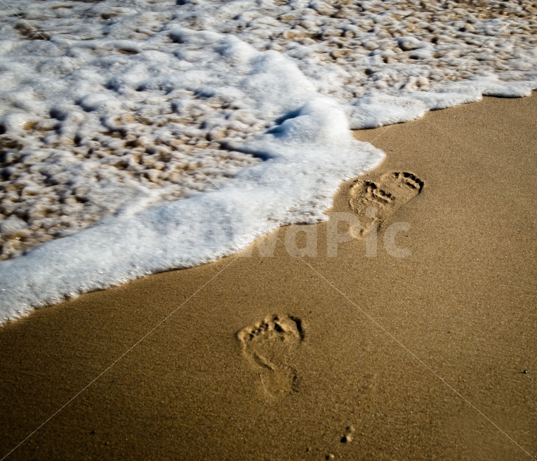 바다,발자국,해안가,모래,감성,분위기,해변,바다,beach,sea,감성,sensible,feeling