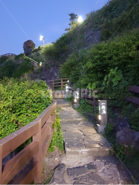 제주,밤,산책,산책로,조명,분위기
