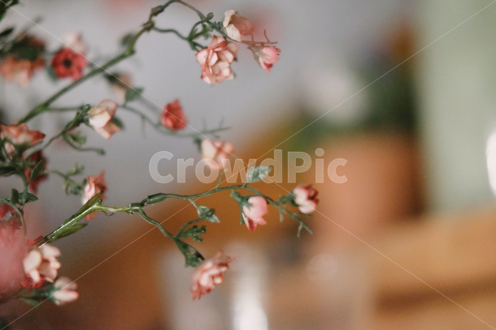 꽃,조화,장미,식물,꽃다발,꽃,flower,실내용화초,화분,화초,house plant,감성,sensible,feeling,인테리어,실내디자인,interior design