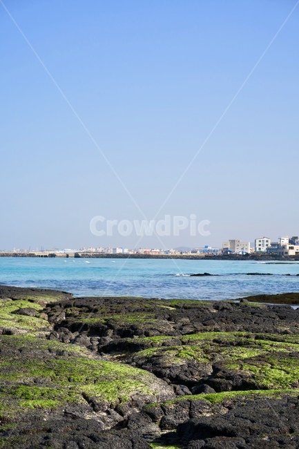 바다,파도,물,자연,풍경,표면,파랑,아쿠아,자연,풍경,nature,landscape,제주도,jeju,jeju island,plant,식물
