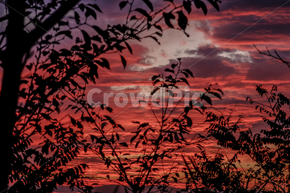 일몰,구름,노을,석양,가을,시선,스냅,풍경,자연,풍경,nature,landscape,outdoors,옥외,flock,대군,animal,동물,sky,하늘,sunset,dusk,황혼,dawn,새벽,red sky,붉은 하늘,silhouette,실루엣