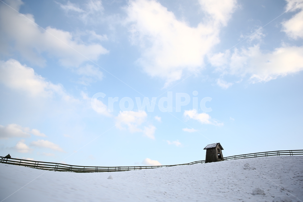 겨울,양떼목장,자연,겨울풍경,맑은하늘,겨울,계절,winter,season,자연,풍경,nature,landscape