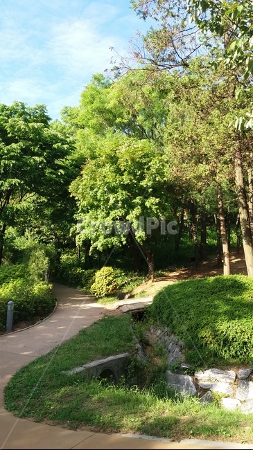 산책로,산길,산,오솔길,자연,자연,풍경,nature,landscape,tree,나무,plant,식물,outdoors,옥외