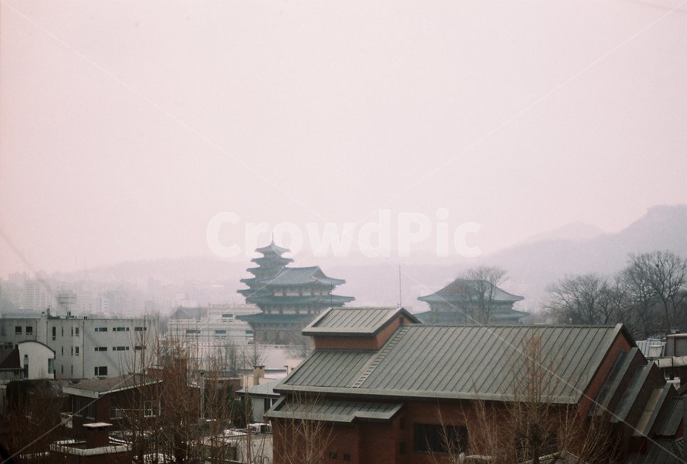 도시,사찰,절,불교,city,필름,film,필름사진