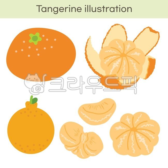 귤,감귤,한라봉,카라향,오렌지,천혜향,과일,fruit,tangerine,mandarin,orange,tangerineillustration,귤일러스트,mandarinorangedrawing,감귤드로잉,citrusfruitart,citrusillustration,orangeslicedrawing,과일일러스트