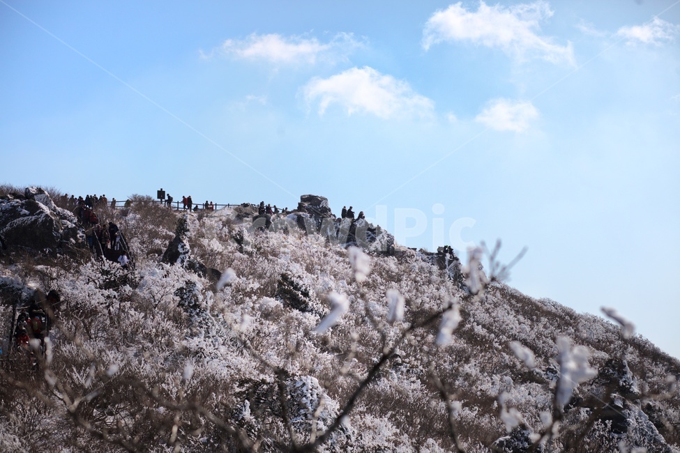 nature,자연,outdoors,덕유산,눈,설산