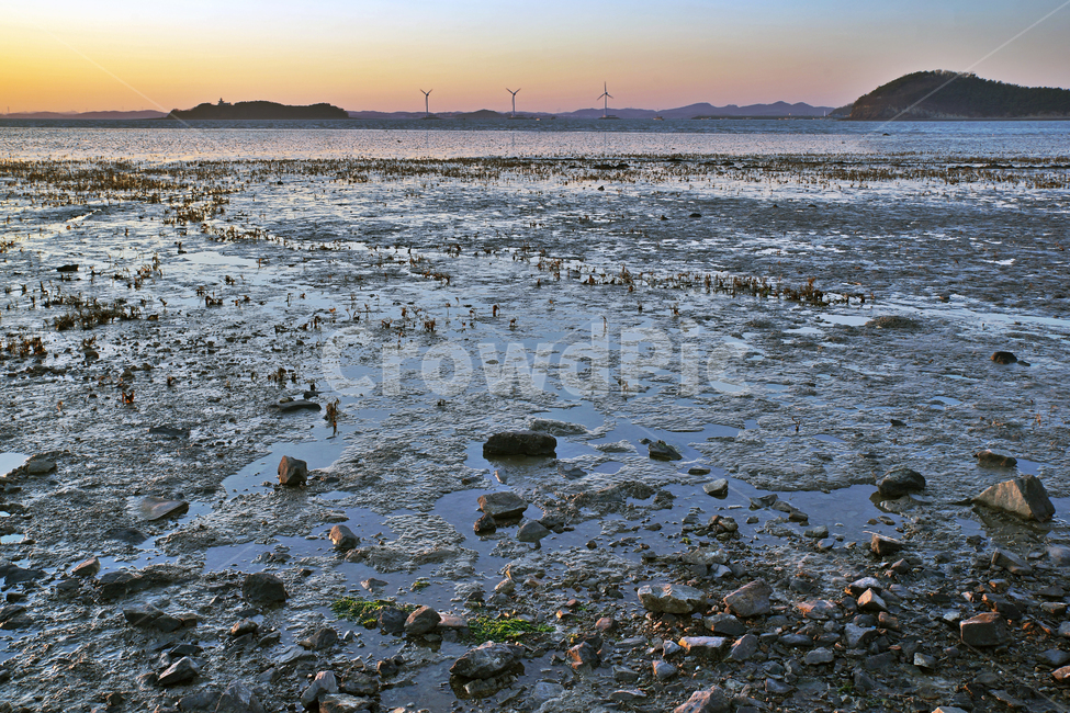 제부도,화성시,바다,썰물,일몰,석양,누에섬,자연,풍경,nature,landscape