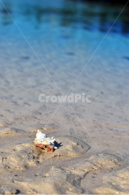 바다,여름,그라데이션,모래,자연풍경,로우앵글,소라,푸르른,해변,바다,beach,sea,감성,sensible,feeling