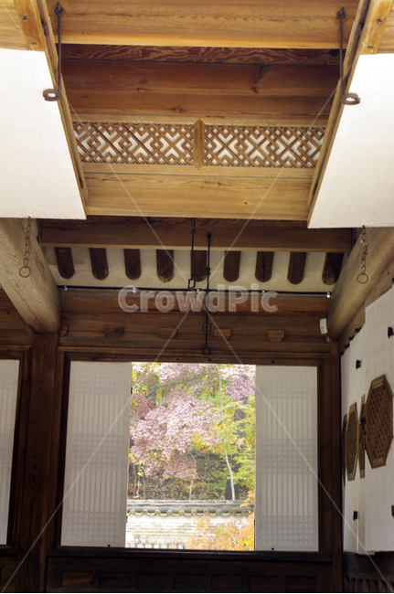 창덕궁,창덕궁후원,연경당,고궁,건축,전통건축,traditional,전통,한국전통,한국문화,korean traditional,korean culture,건축물,건물외관,exterior,building,structure,architecture,construction