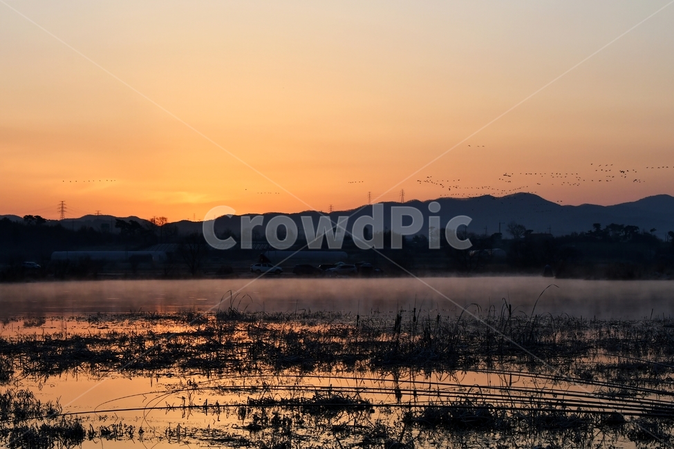 저수지,낚시,아침노을,성암저수지,물안개,안개,아침풍경,자연,풍경,nature,landscape,outdoors,옥외,land,땅,water,물