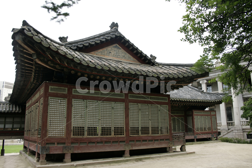 덕수궁,준명당,즉조당,전각,궁,전통,한국,한국전통,한국문화,korean traditional,korean culture,랜드마크,landmark,tourist attraction,한국랜드마크,한국관광지,한국명소,korea landmark,korea tourist attraction