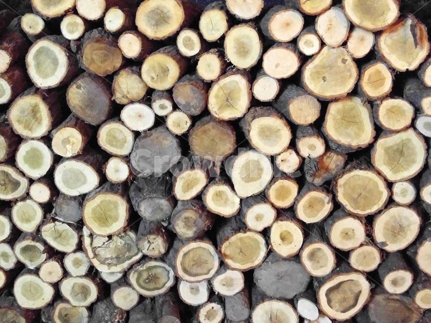 통나무,나무,나무단,장작,밤색,동그라미,목재,울퉁불퉁,조화,패턴,log,tree,나무,trees,wood