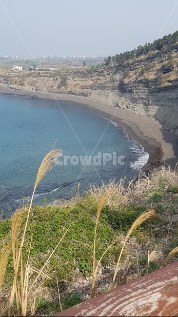 제주도,풍경,산,등산,정상,grass