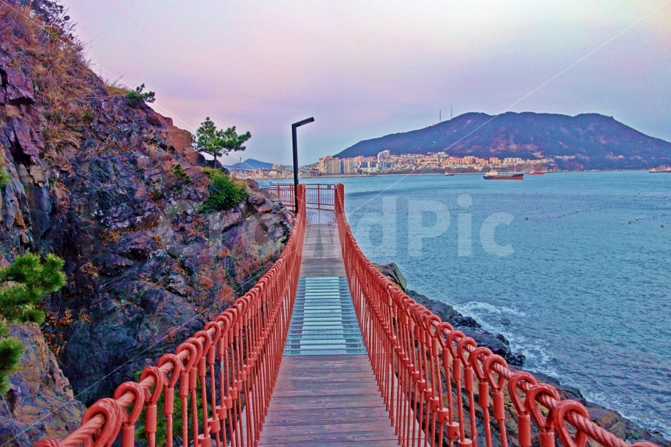 부산,송도해안볼레길,출렁다리,송도해수욕장,배,절벽,파도,물결,해안,바닷가,부산여행,여행,풍경,자연,경치,아름다운,전망,그림,같은,뷰,나무,흰,푸른,도시,풍경,city,landscape,building,건물,bridge,다리