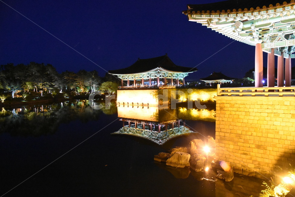 경주,안압지,경주야경,안압지야경,풍경,동궁과월지