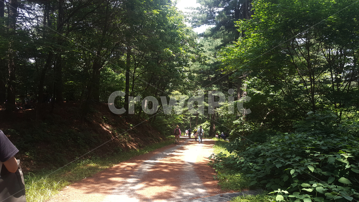 산,나무,나뭇잎,하늘,풍경,초록,내추럴,아름다움,식물,여름,평화,산책로,사람들,햇빛,mountain,trees,leaves,sky,scenery,abstract,natural,beauty,plants,summer,peace,promenade,자연,풍경,nature,landscape,사람들,대중,군중,other people,crowd,path,통로
