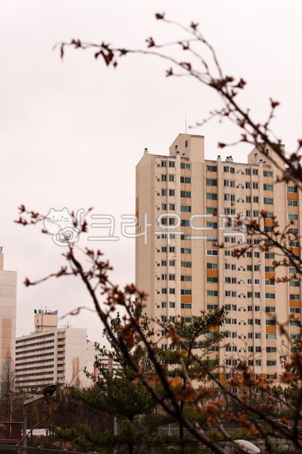 아파트,apt,도시,건물,고층건물,building,city,town,도시의,주거공간,서울,공릉동
