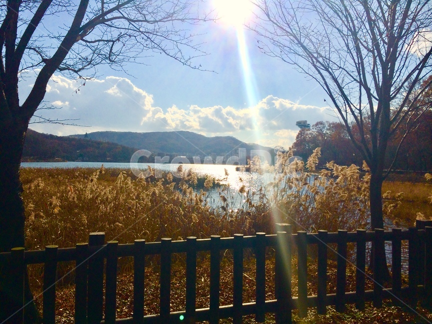 railing,light,빛,flare,플레어,handrail,난간,banister,햇빛,sunlight,가을