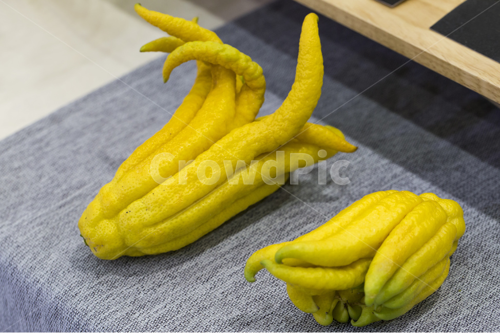 불수감,열매,과일,선황색,노란색,부처,손가락,과일,열매,fruit