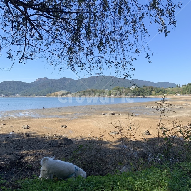 땅,자연,바다,해변,nature,outdoors,land,sea