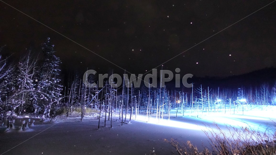 삿포로,일본,청의호수,비에이,야경,겨울,계절,winter,season,자연,풍경,nature,landscape,야경,밤,nightscape,night,해외,외국,세계,foreign,oversea,world,세계자연풍경,해외자연풍경,외국자연풍경,world nature landscape