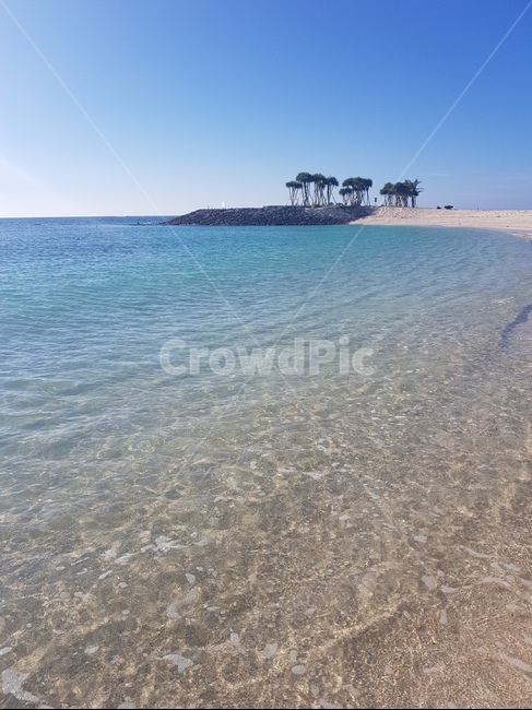 오키나와,일본,여름,바다,섬,하늘,모래,생명,풀,잎,파도,okinawa,japan,leaf,life,island,summer,sand,sky,bud,sprout,tree,palmtree,자연,풍경,nature,landscape,해변,바다,beach,sea,shoreline,해안선,water,물,ocean,대양,outdoors,옥외,land,땅