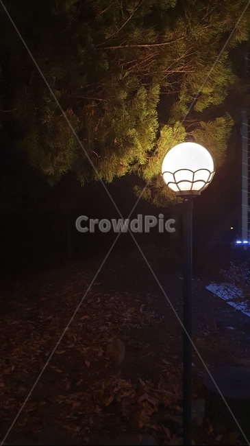 lamppost,램프포스트,야경,가로등,빛