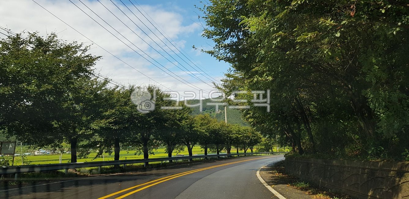 road,nature,road name,tree,Hantangang River,Jeongokeup,highway