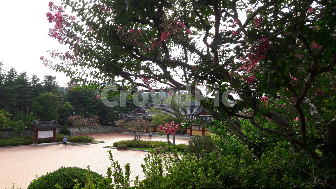 강원도,강릉,오죽헌,율곡이이,신사임당,한국전통,한국문화,korean traditional,korean culture,랜드마크,landmark,tourist attraction,한국랜드마크,한국관광지,한국명소,korea landmark,korea tourist attraction