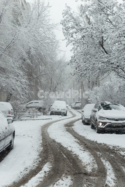 nature,자연,transportation,교통,차량,car,차,자동차,눈,눈보라,폭풍,winter,blizzard,겨울,snow,겨울,계절,winter,season