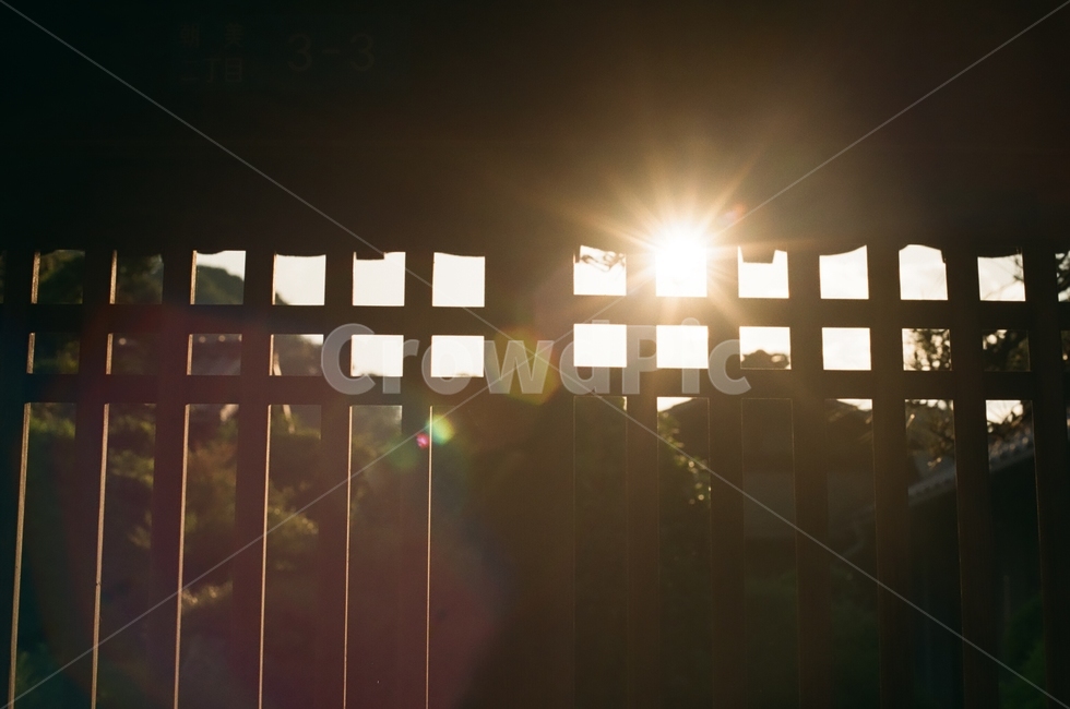 flare,sunlight,light,backlight,film