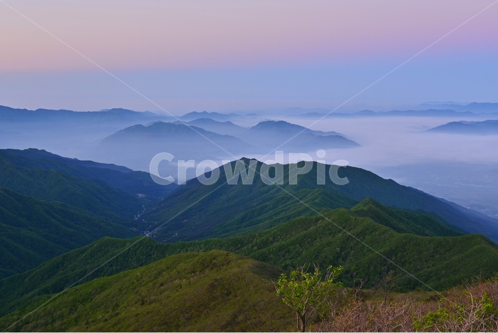 지리산,아침,운해,mountain,산,nature,자연,mountainrange,산맥,outdoors,옥외,자연,풍경,nature,landscape
