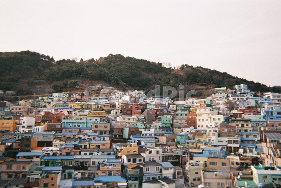 부산,감천문화마을,필름사진,필름,풍경,부산여행,필름카메라,도시,풍경,city,landscape,한국도시풍경,한국도시경관,korea cityscape,urban,어반,building,건물,slum,빈민굴