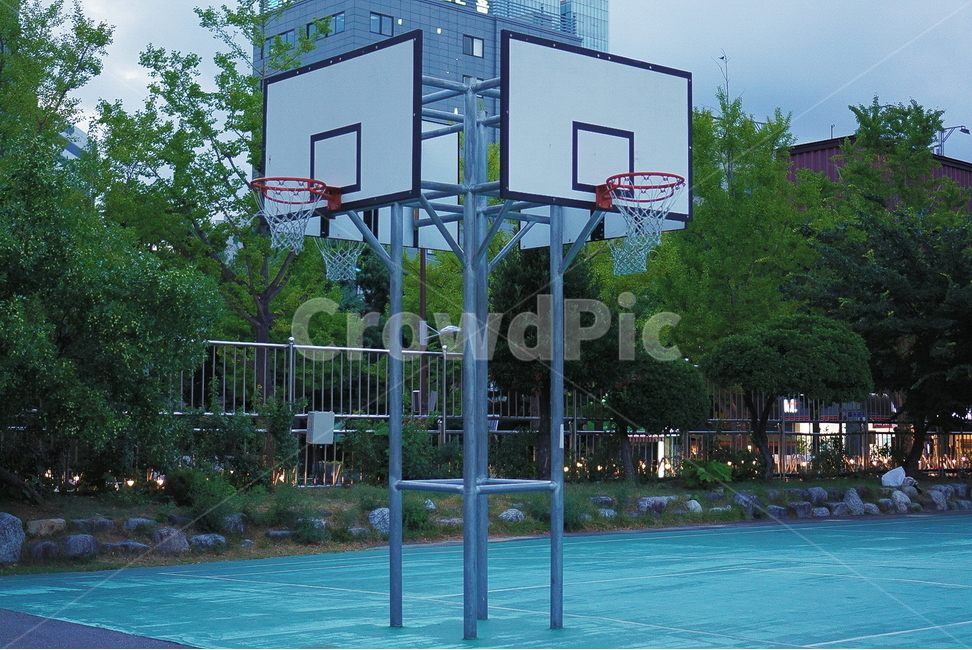 농구장,농구골대,학교,나무,농구코트,basketballcourt,tree,basketballhoop,school,감성,청량함,스포츠,레저,운동,sports,leisure,exercise