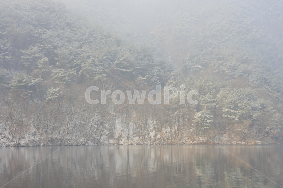 의림지,용두산,소나무,나무,자연,겨울,계절,winter,season,자연,풍경,nature,landscape,한국자연풍경,한국자연경관,korea nature landscape,tree,plant,식물