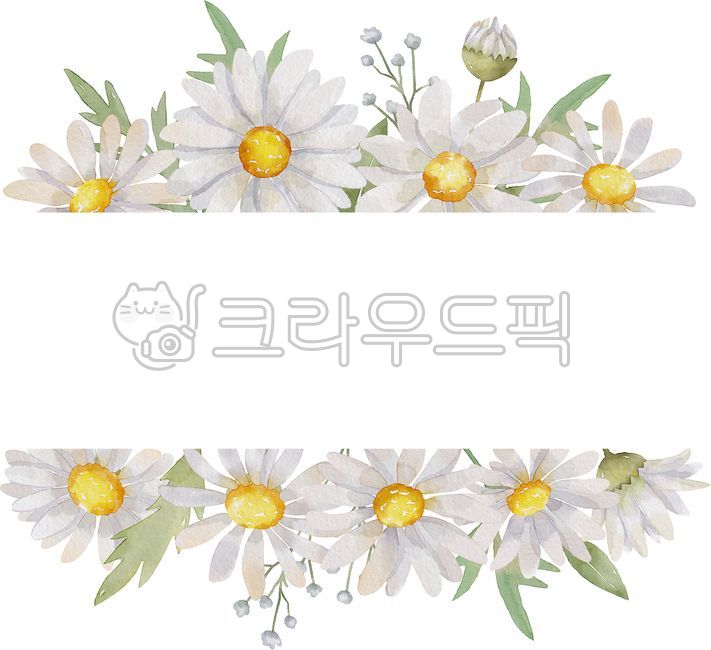 꽃프레임,봄일러스트,데이지,데이지꽃,꽃일러스트,데이지일러스트,수채화,일러스트,봄,봄꽃,식물,꽃,보테니컬,화사한,야생화,들꽃,꽃송이,잎,잎사귀,꽃그림,봄그림,수채화그림,플라워,그림,꽃틀,꽃테두리,디자인소스,장식,데코,계절,자연,밝은,테두리,백그라운드,세일,할인,쇼핑몰,이벤트,배경,편집,표지편집,디자인,브로셔,일러스트레이션,광고,plant,spring,그래픽,graphic,illustration,공지창,공지,카드,책표지,북커버,초대장,프레임,팜플렛,이벤트창,배너,브로슈어,청첩장,안내장,팝업창,흰색,흰색데이지,흰색꽃,웨딩카드