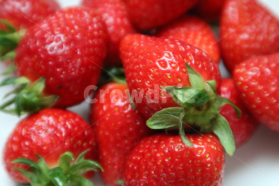 strawberry,fruit,sweet,healthy,color,red,green,과일,딸기,컬러,색깔,녹색,초록,음식,식재료,요리,food,cook,meal,dishes,food reserves,과일,열매,fruit