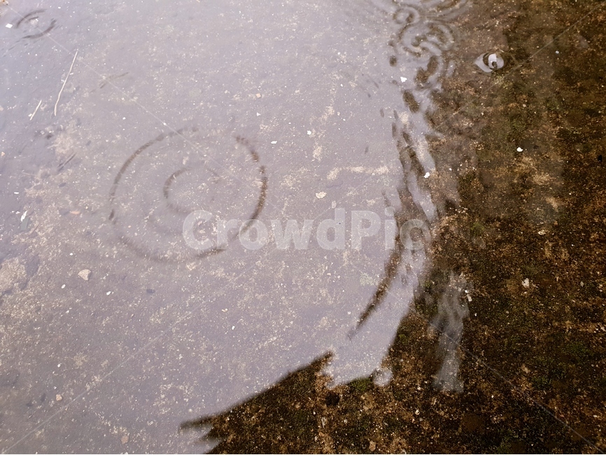 빗방울,물,빗물,패턴,배경,날씨,감정,비오는날,rain,raindrops,background,weather,pattern,비,비오는날,rain,rainy