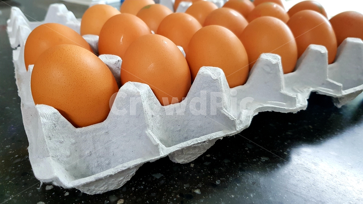 계란,달걀,계란한판,음식재료,food